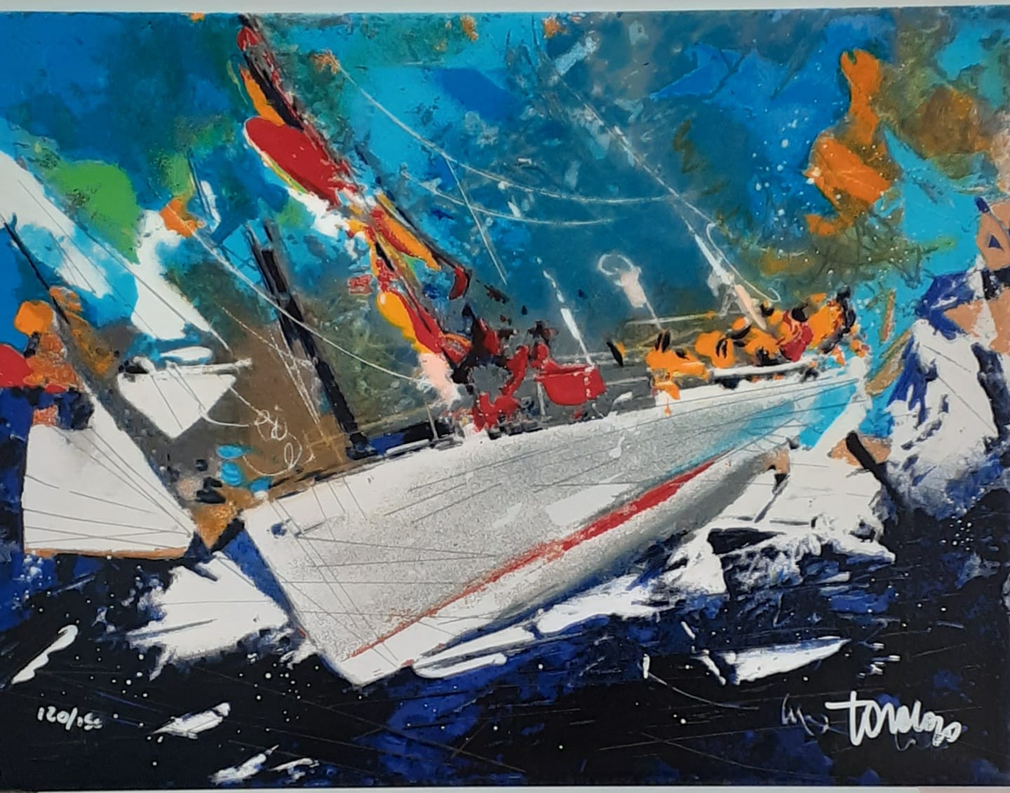 Francesco Toraldo "Volvo Race" - immagine 2