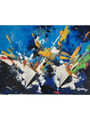 Francesco Toraldo "Fly Emirates"